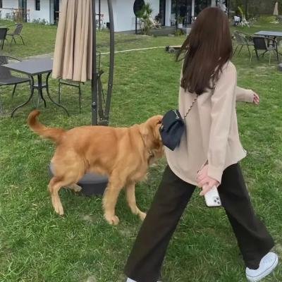 神圣的女人
